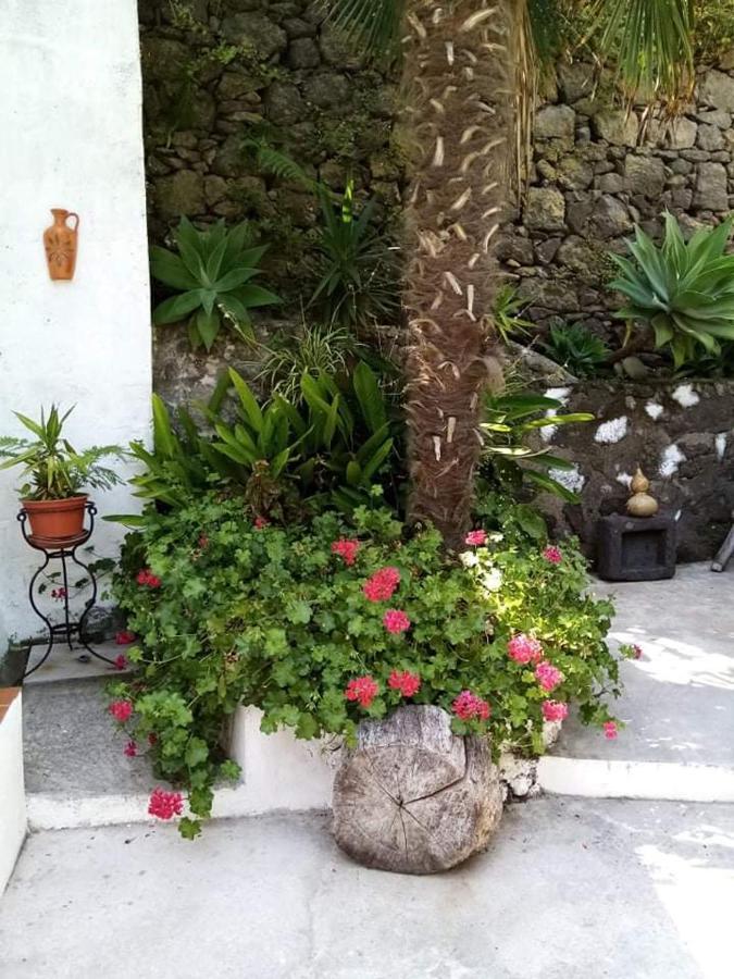 וילה פראנקה דו קמפו Ribeira Da Praia House מראה חיצוני תמונה
